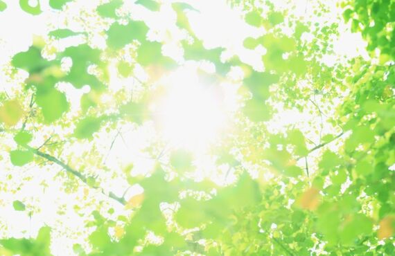 【摂津市】膝の痛みを適切にケアします｜ぬまた鍼灸院